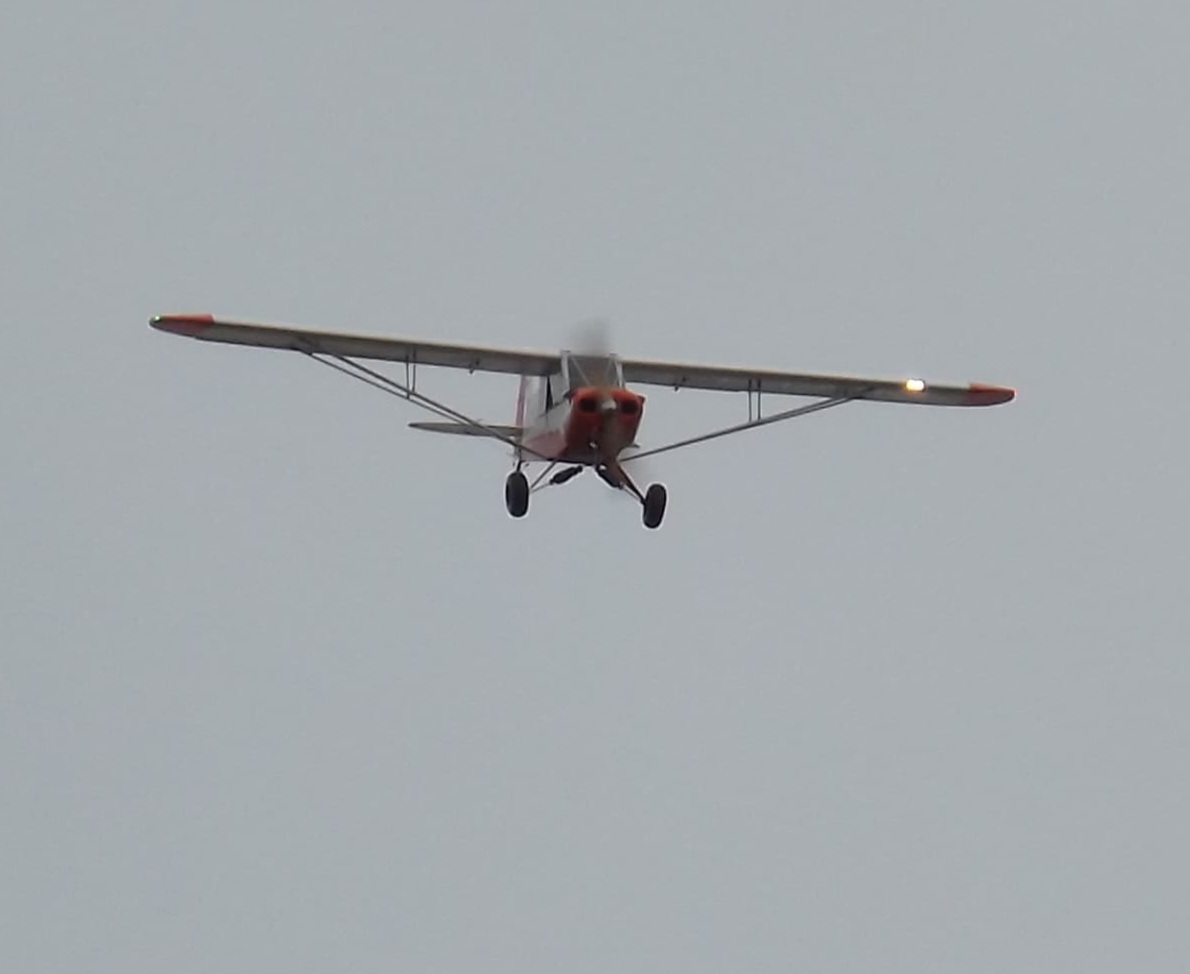 Picture  Piper Super Cub